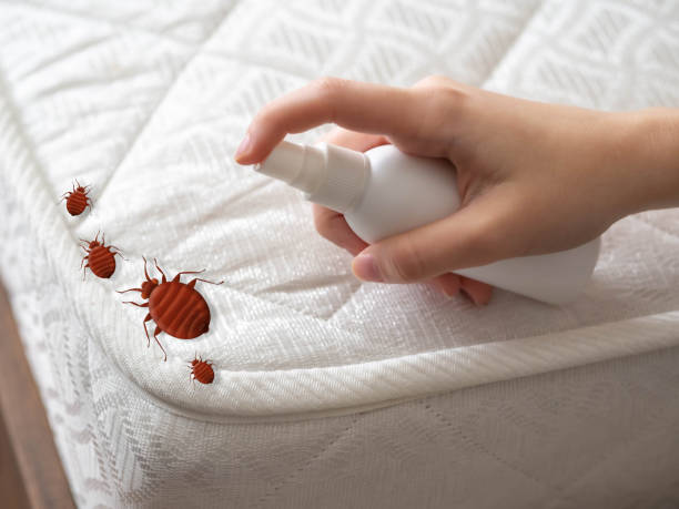 Best Ant Control Services  in Henderson, GA