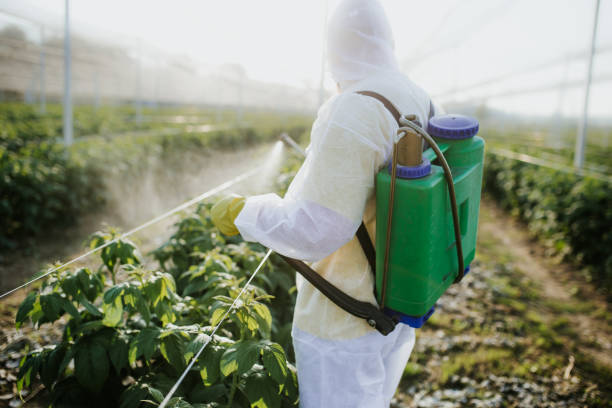Best Pest Control for Restaurants  in Henderson, GA